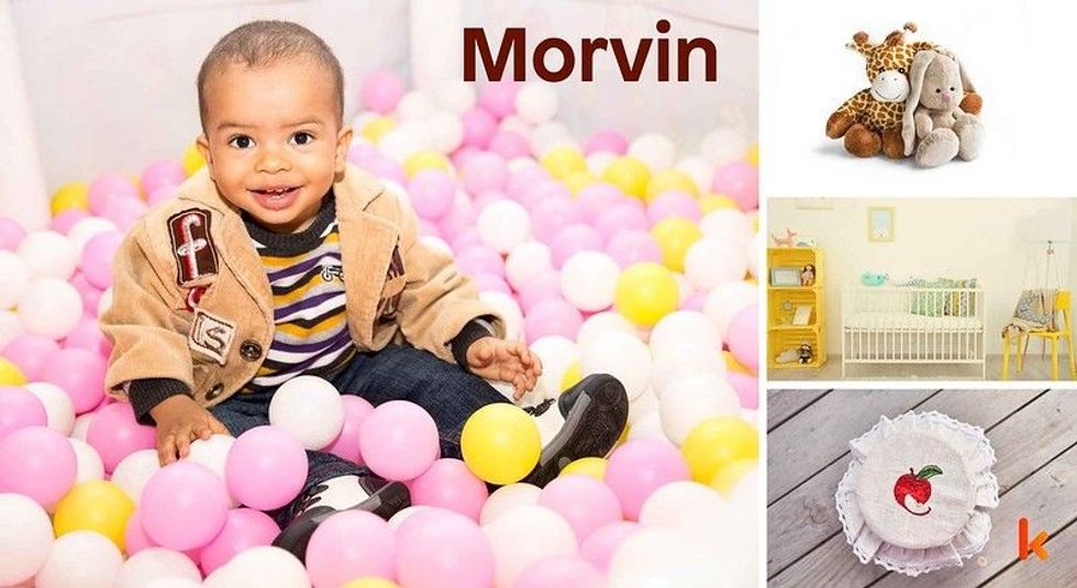 Baby name Morvin - cute baby, toys, baby nursery & dessert