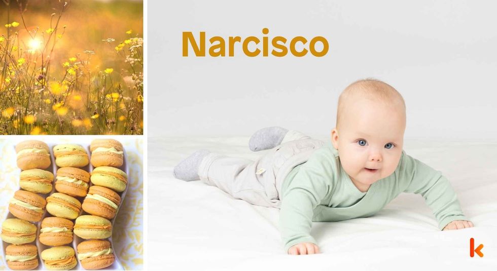 Baby name Narcisco - cute baby, flowers, macarons