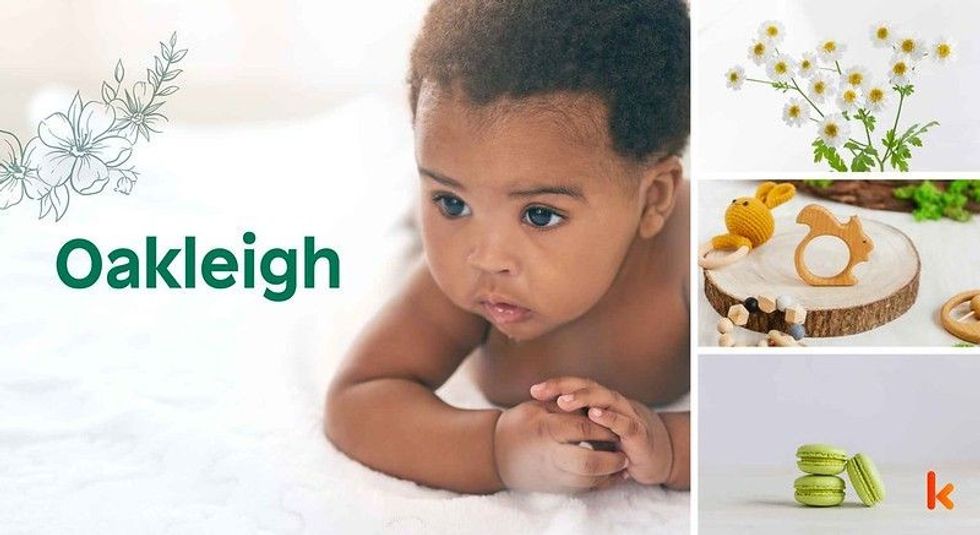 Baby Name Oakleigh - cute baby, baby teether, flower, macarons.