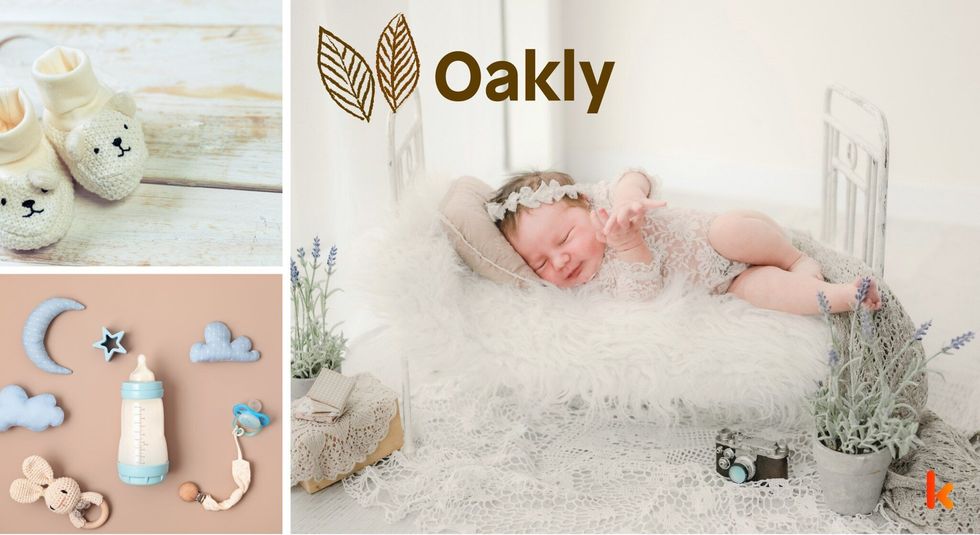 Baby name Oakly - cute, baby, toys, clothes