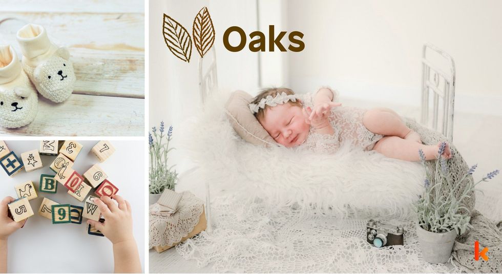 Baby name Oaks - cute, baby, toys, clothes