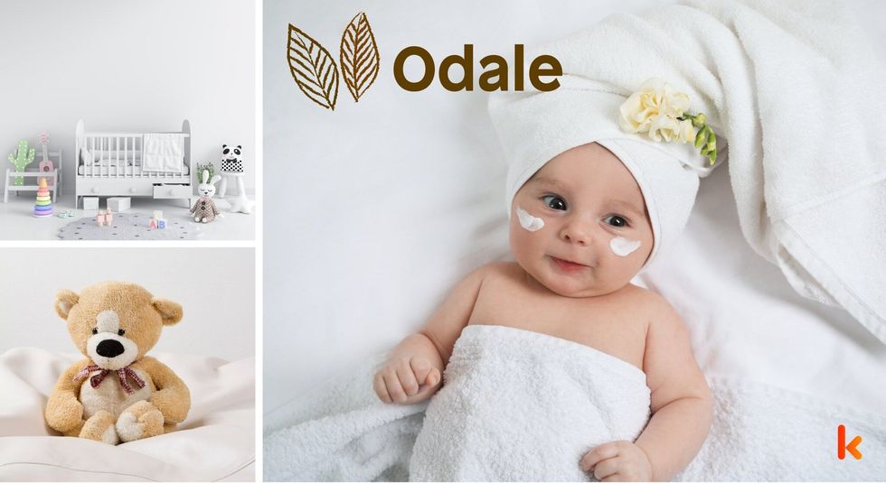 Baby name Odale - cute, baby, toys, clothes