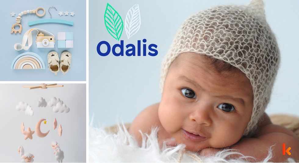 Baby name odalis - toys & booties on blue background