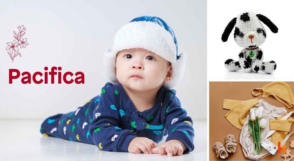 Baby name Pacifica - cute baby, baby clothes & toys