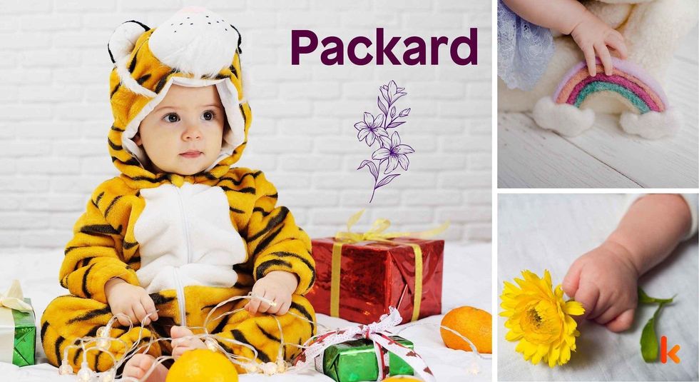 Baby name Packard - cute baby, baby color toys , baby feet & baby flowers.