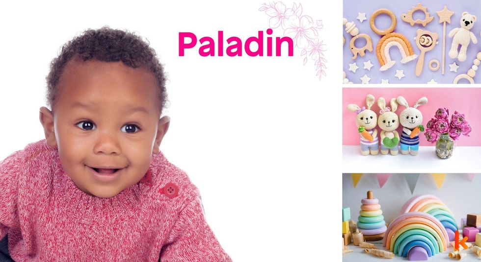 Baby name paladin - toys & bunny soft toys.