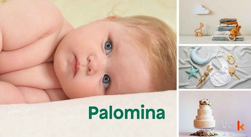 Baby name Palomina - cute, baby, toys, clothes, cakes