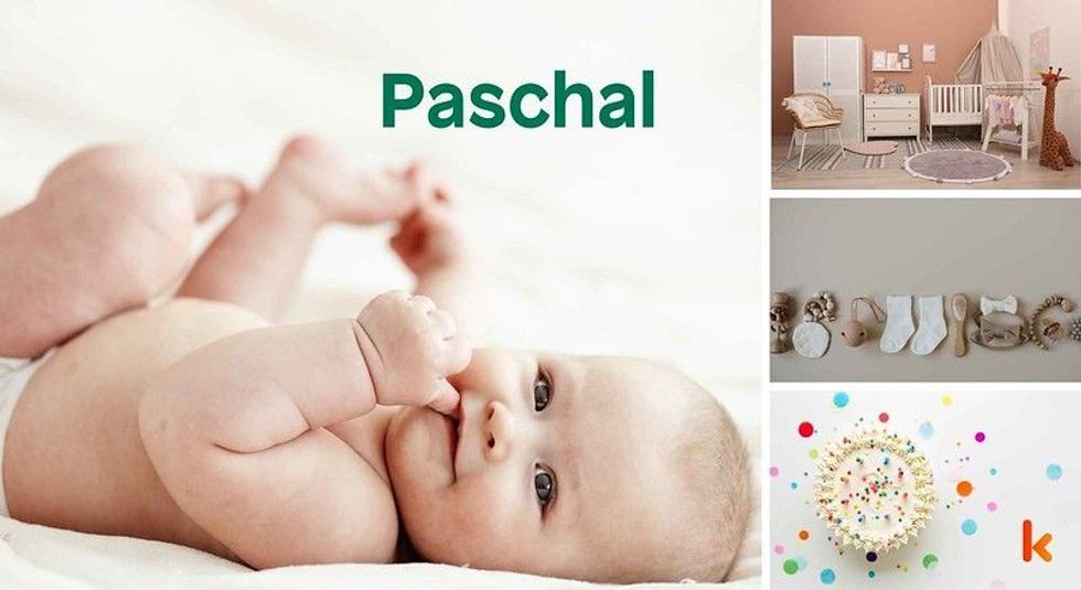 Baby name Paschal - cute, baby, toys, clothes, cakes