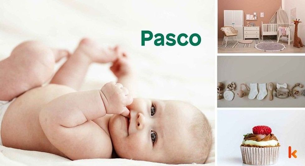 Baby name Pasco - cute, baby, toys, clothes, cakes