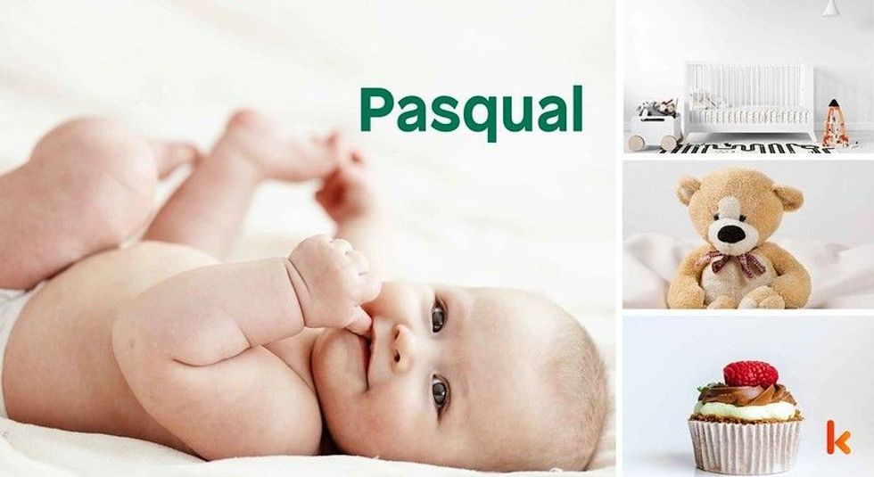 Baby name Pasqual - cute, baby, toys, clothes, cakes
