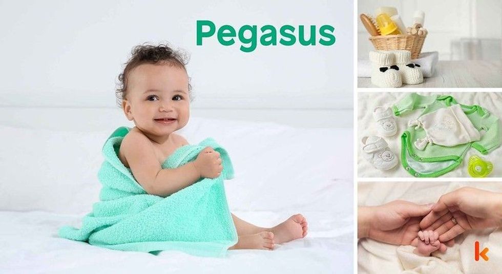 Baby name Pegasus - cute baby, baby hands, baby clothes, baby booties