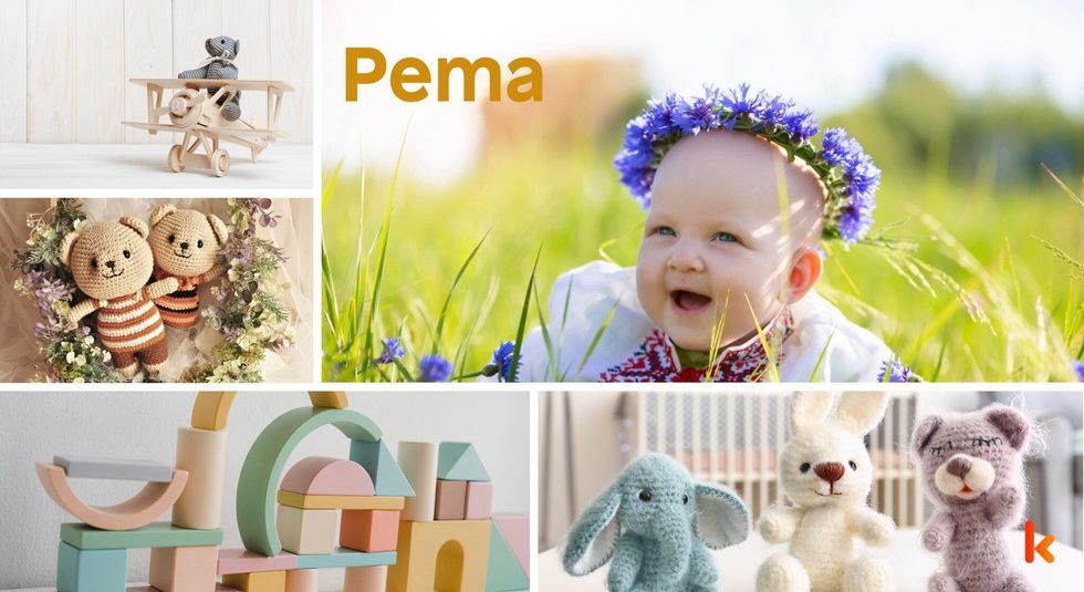Baby name pema - crochet soft toys & brick toys