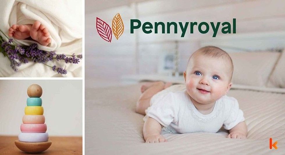 Baby name pennyroyal - cute baby, toy, feet