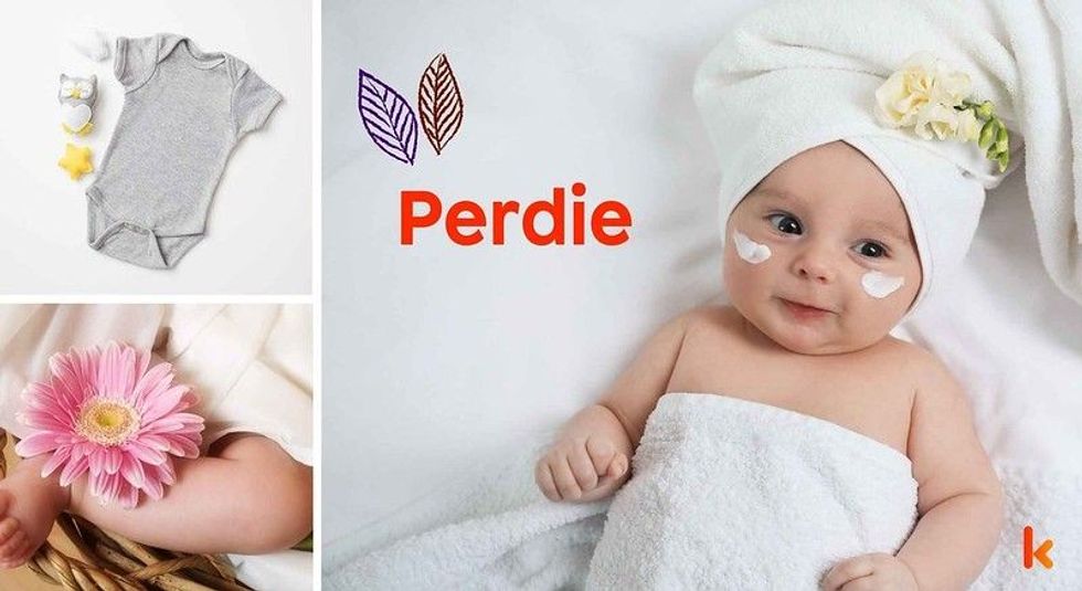 Baby name perdie - cute baby, flower, clothes