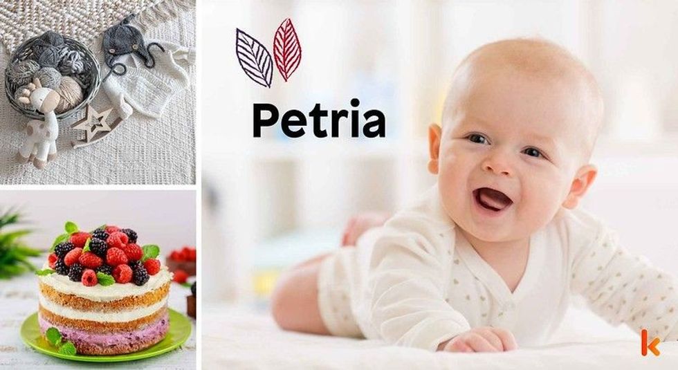 Baby name petria - cute baby, cake, toy, wool