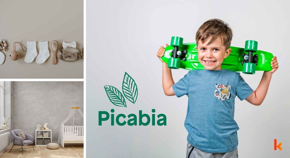 Baby name Picabia - cute baby, clothes, crib, accessories and toys.