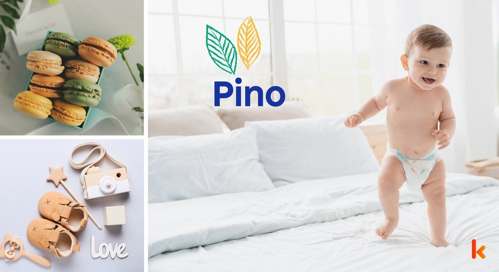 Baby name Pino - cute baby, flowers, shoes and toys.