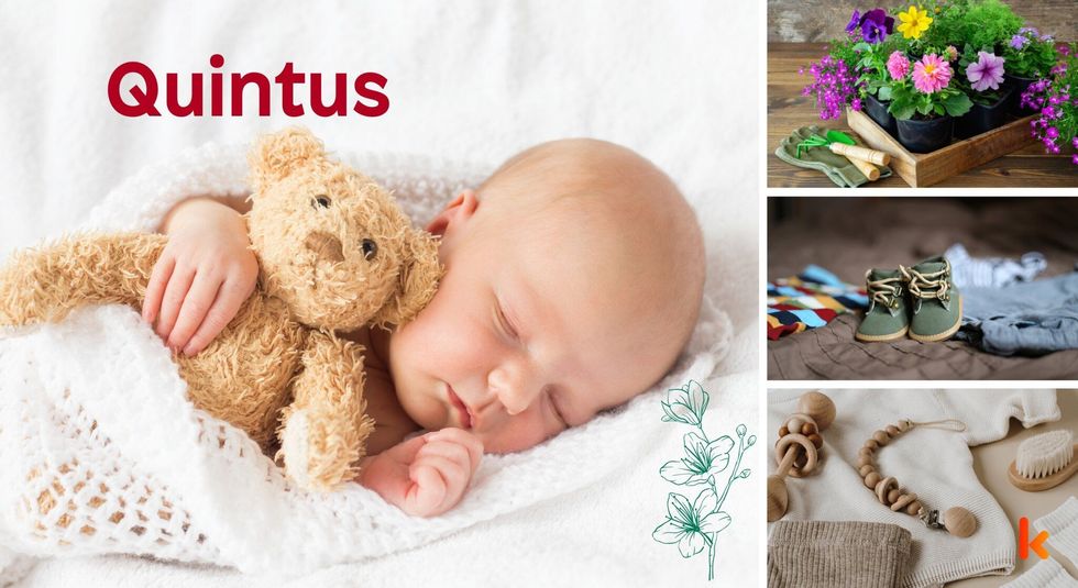 Baby name Quintus - cute baby, clothes, flowers, accessories, shoes.