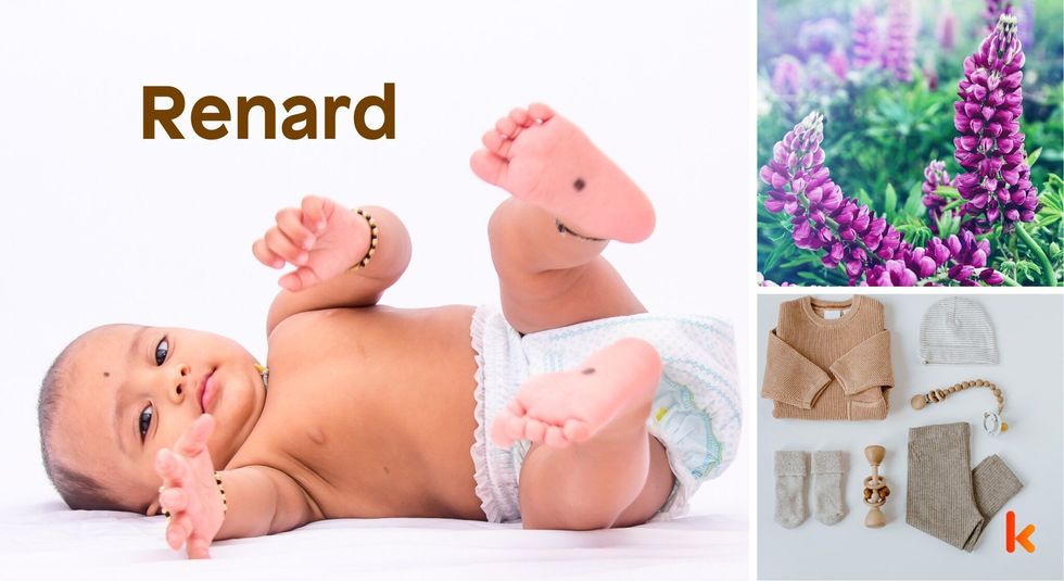 Baby name Renard - cute baby, clothes, flowers 