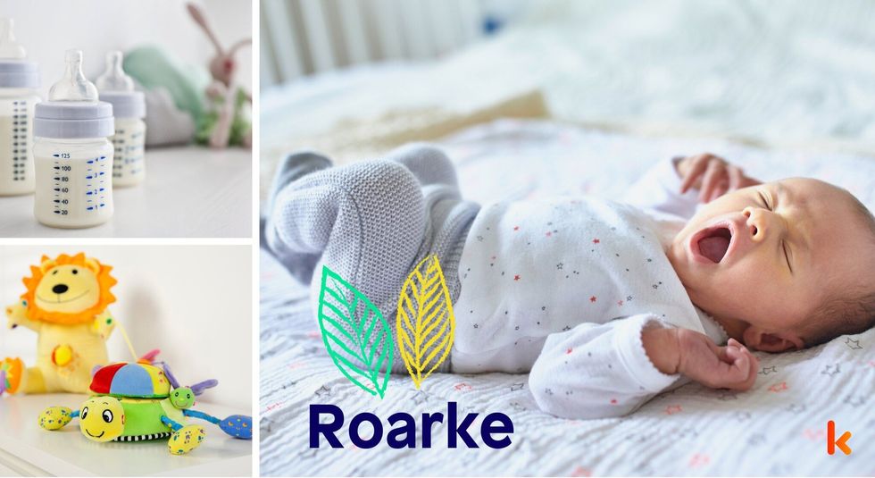 Baby name roarke - soft toys & milk bottle