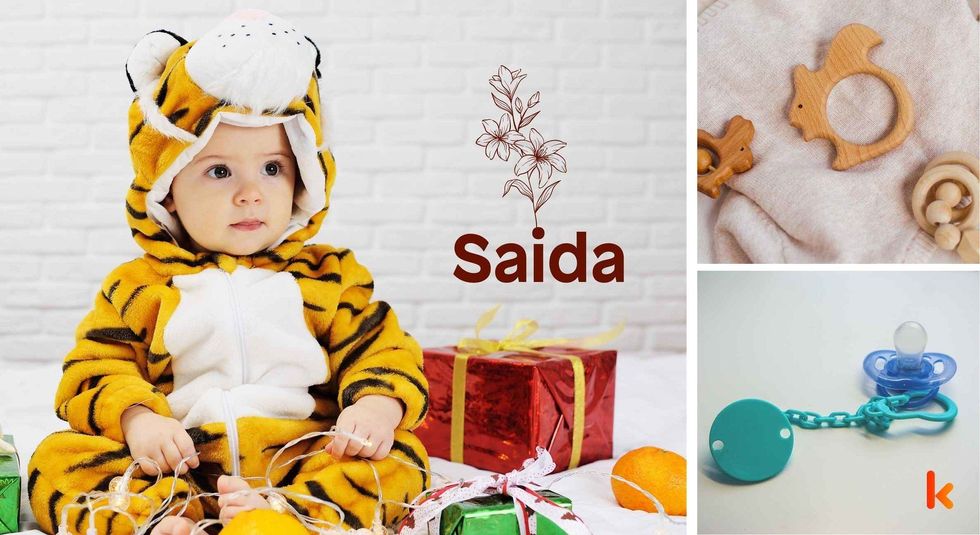 Baby name Saida - cute baby, teether & pacifier