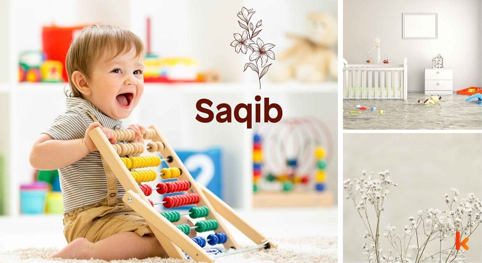 Baby name Saqib - cute baby, baby room & flowers
