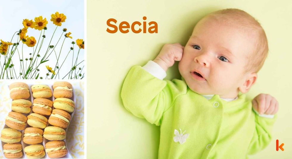 Baby name Secia - cute baby, flowers, macarons