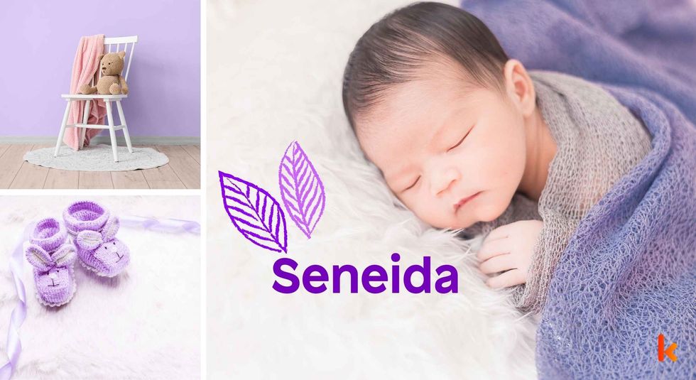Baby Name Seneida - cute baby, flowers, shoes and toys.