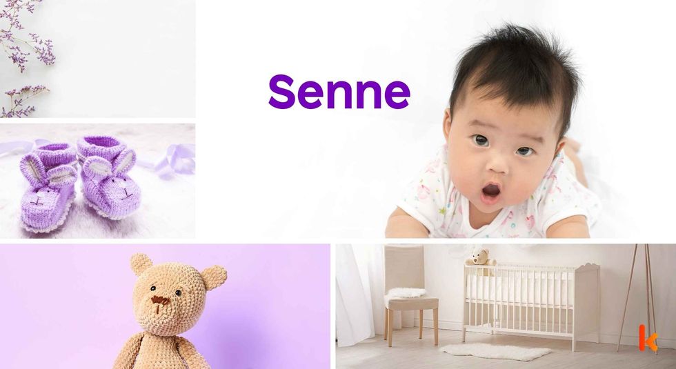 Baby Name Senne - cute baby, flowers, shoes, cradle and toys.