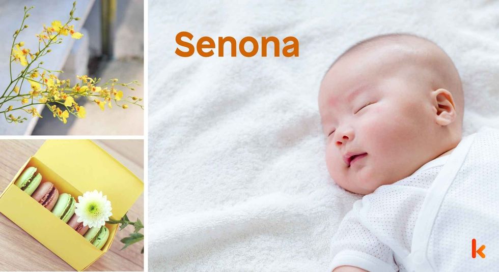 Baby name Senona - cute baby, flowers, macarons