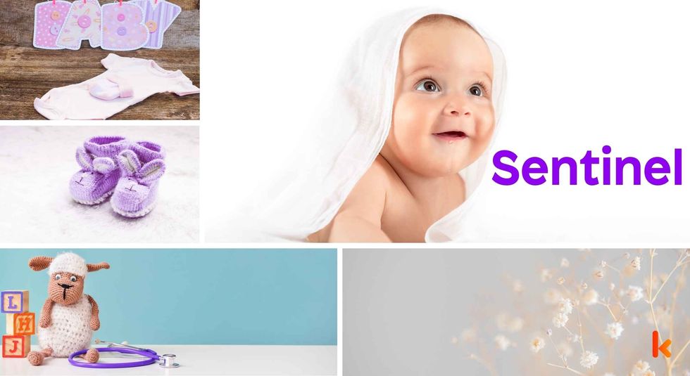Baby Name Sentinel - cute baby, flowers, dress, shoes and toys.