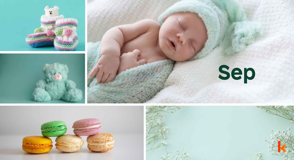 Baby Name Sep - cute baby, flowers, shoes, macarons and toys.