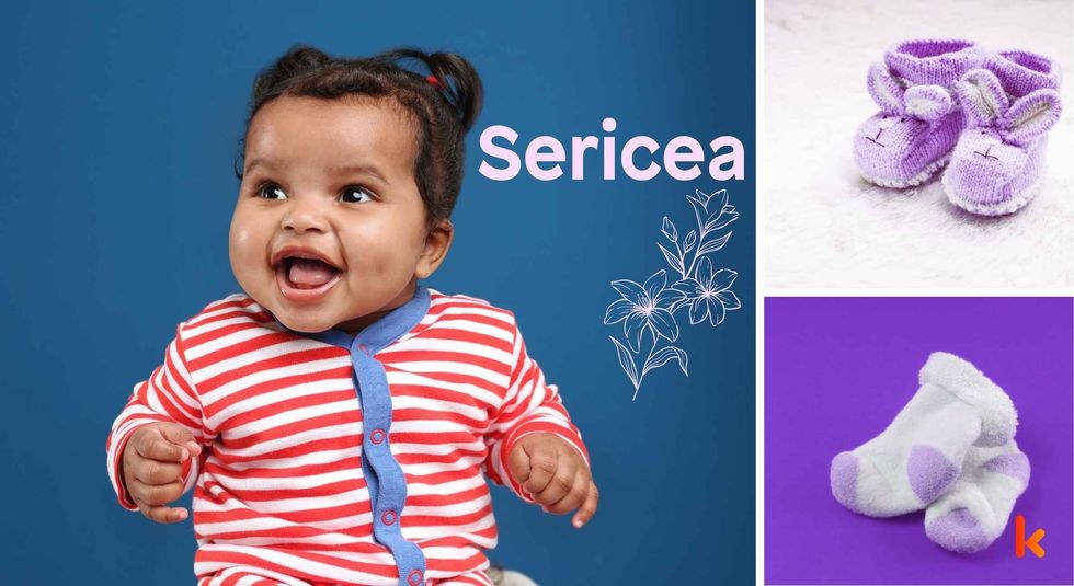 Baby Name Sericea - cute baby, flowers, shoes and toys.