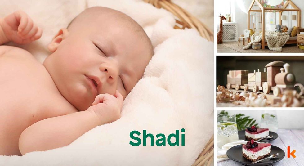 Baby name Shadi - cute baby, toys, clothes & cakes. 
