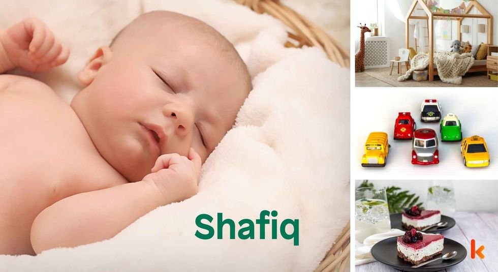 Baby name Shafiq - cute baby, toys, clothes & cakes.