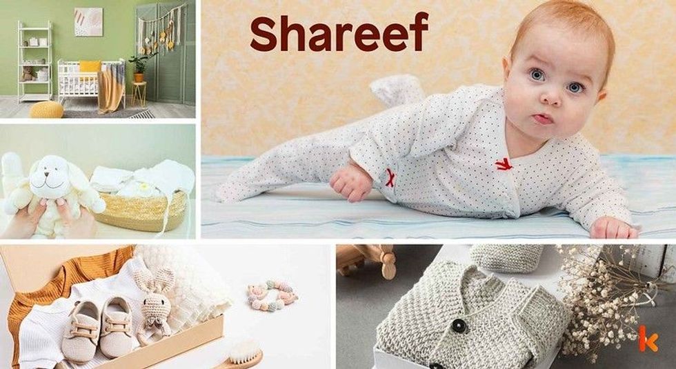 Baby name Shareef- cute baby, toys, baby nursery, baby clothes & shoes