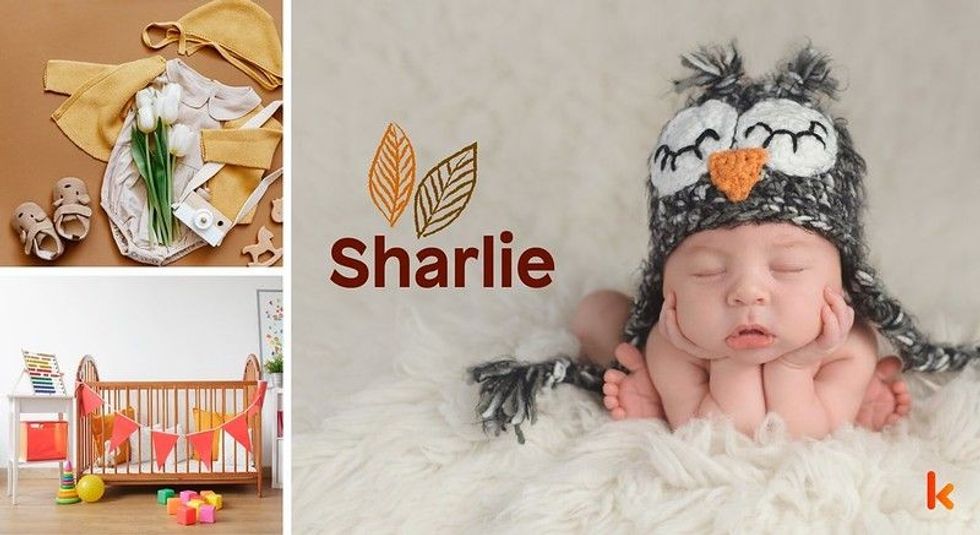 Baby name sharlie - cute baby, baby booties, baby crib, clothes