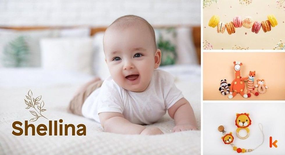 Baby name shellina - cute baby, macarons, teether, toy