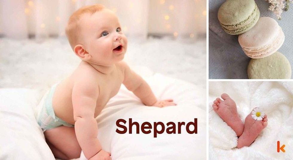 Baby Name Shepard- cute baby, macarons , baby feet