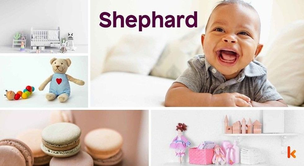 Baby Name Shephard- cute baby, crib, macarons, accessories, toys