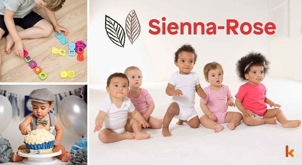 Baby name Sienna Rose - cute baby, baby color toys & baby cakes.