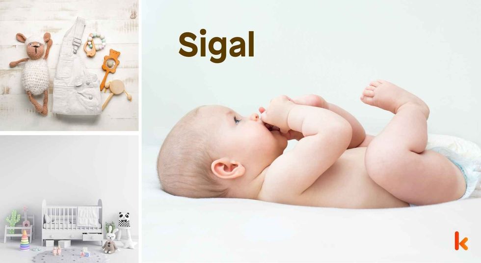 Baby name Sigal - cute baby, clothes, crib, accessories and toys.