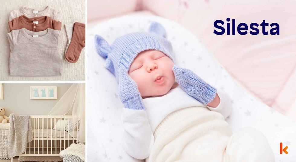 Baby name Silesta - cute baby, clothes, crib, accessories and toys.