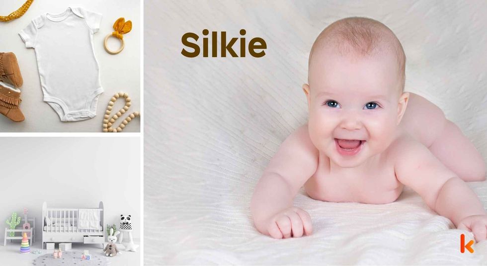 Baby name Silkie - cute baby, clothes, crib, accessories and toys.