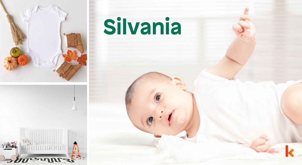 Baby name Silvania - cute baby, clothes, crib, accessories and toys.