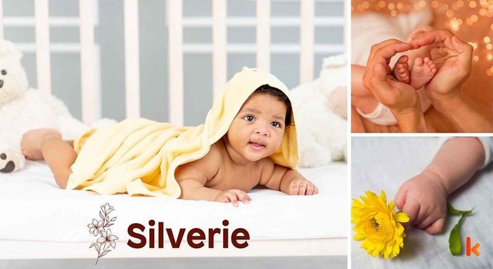 Baby name Silverie - cute baby, baby feet, baby clothes & baby flowers.