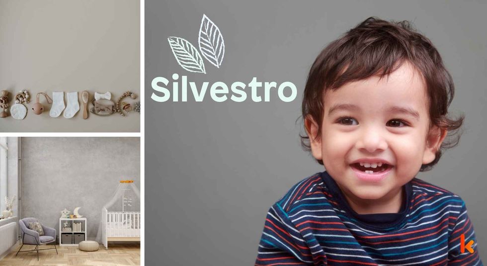 Baby name Silvestro - cute baby, clothes, crib, accessories and toys.