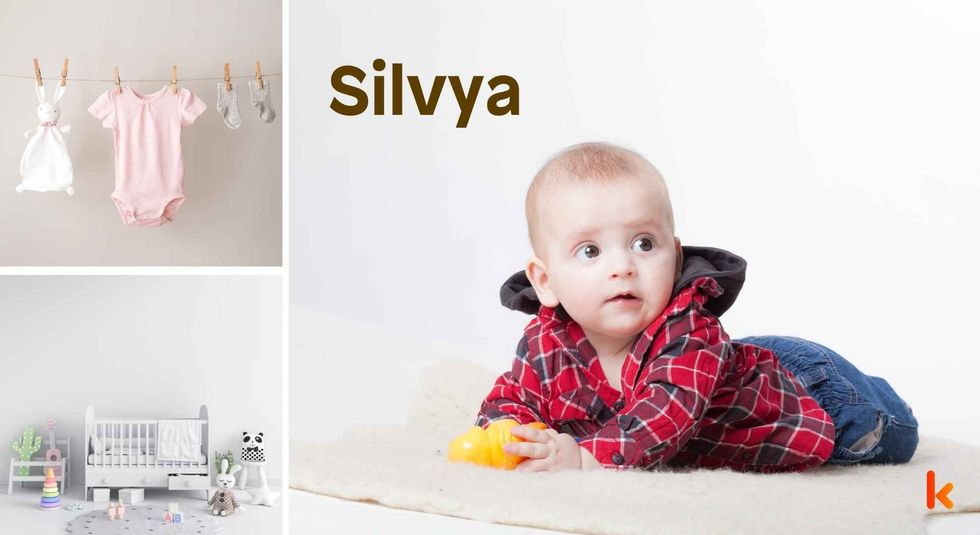 Baby name Silvya - cute baby, clothes, crib, accessories and toys.