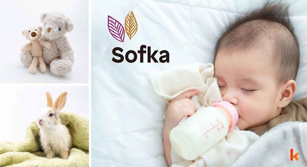 Baby name sofka - cute baby, bunny, toy