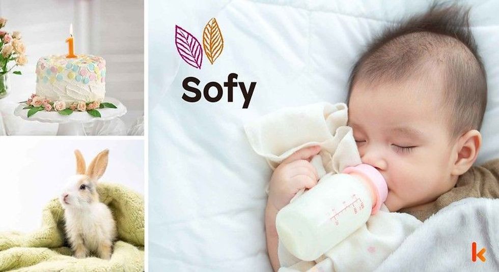 Baby name sofy - cute baby, bunny, cake